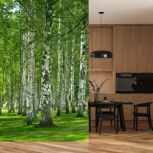 Papier peint  Bouleaux 3D au printemps