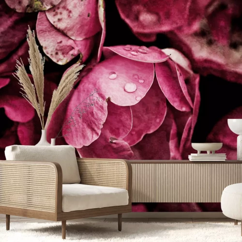 Papier peint  Fleurs de pivoines et rosée