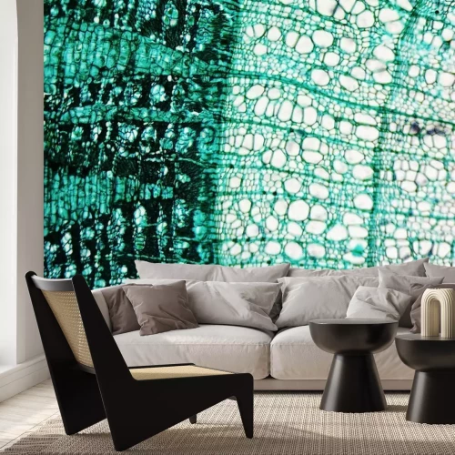 Papier peint  Bois et vue au microscope