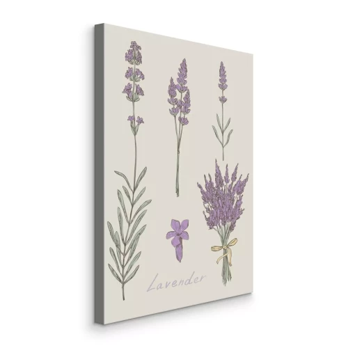 Visualisation du produit