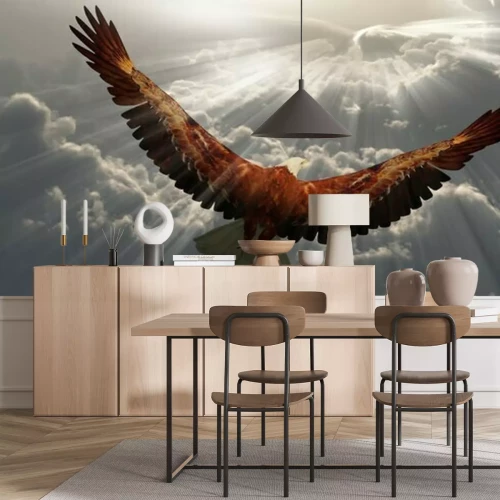 Papier peint  Aigle en vol au-dessus des nuages