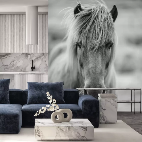 Papier peint  Poney monochrome sur fond gris