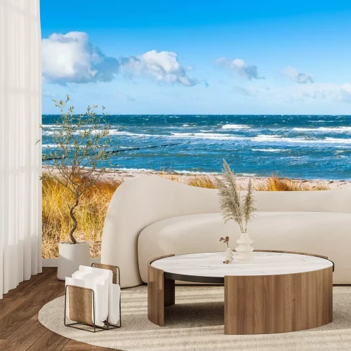Papier peint  Plantes des dunes et de la mer