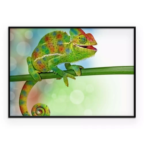 Poster  Un caméléon amusant sur une branche verte