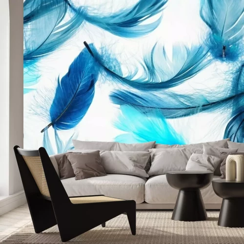 Papier peint  Plumes bleues sur fond clair