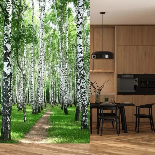 Papier peint  Chemin étroit dans une forêt de bouleaux