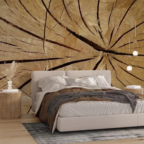 Papier peint  Tronc d'arbre à l'échelle macro