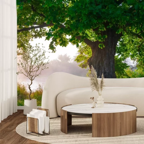 Papier peint  Chêne à feuilles en plein été, seul,