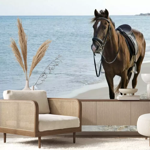 Papier peint  Cheval sellé sur la plage