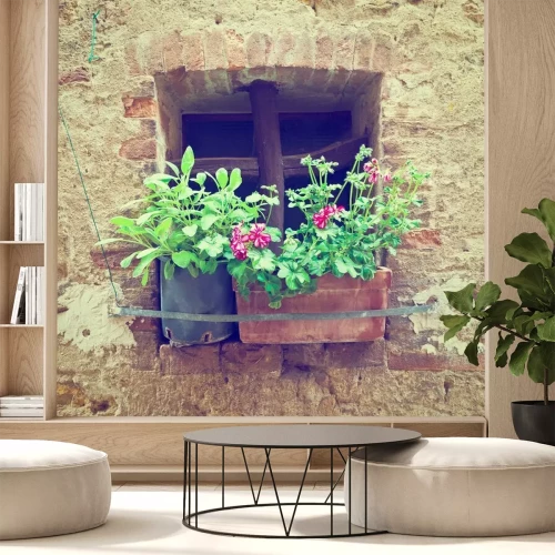 Papier peint  Vieux mur