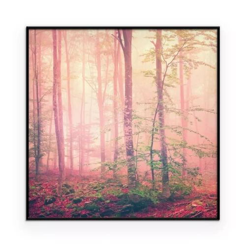 Poster  Un paysage forestier plongé dans un brouillard multicolore