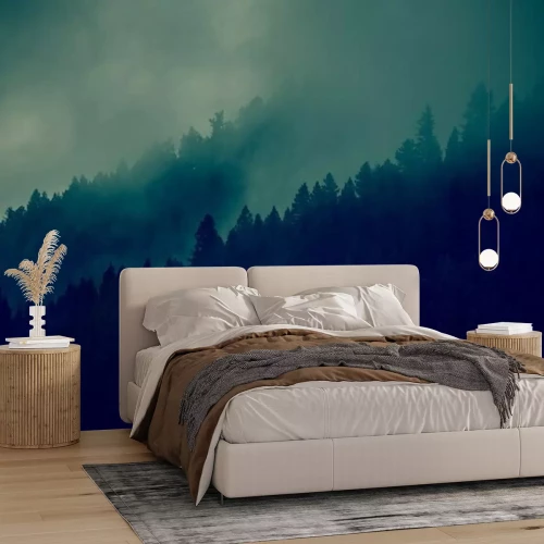 Papier peint  Contexte forêt brumeuse