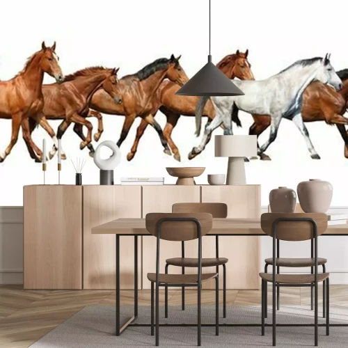 Papier peint  Troupeau de chevaux sur fond blanc