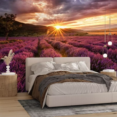 Papier peint  Paysage pittoresque avec lavande au coucher du soleil