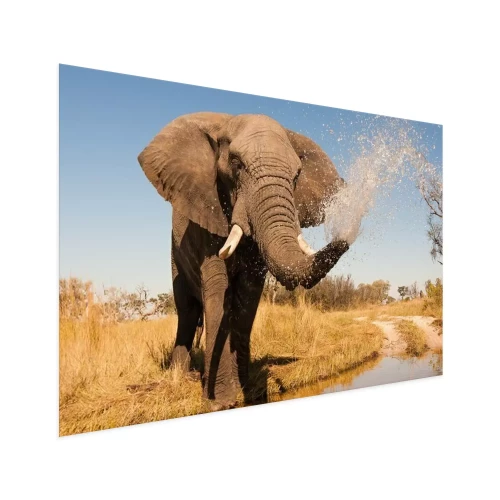 Visualisation du produit