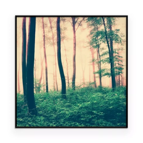 Poster  Une scène de forêt aux tons sépia, avec un sous-bois verdoyant et la cime des arbres.