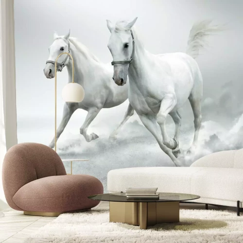 Papier peint  Chevaux au galop sur fond blanc