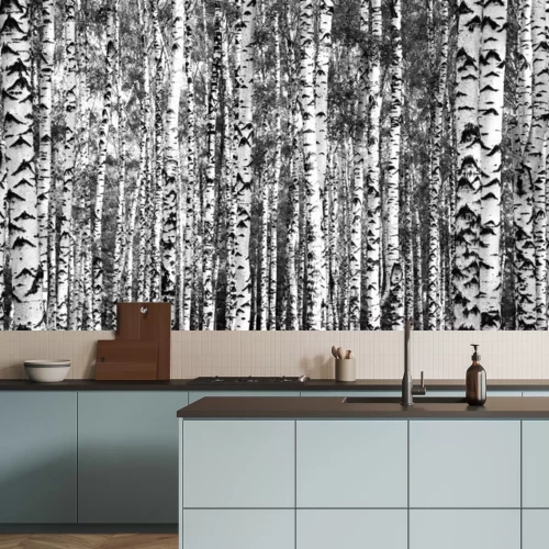 Papier peint  Bouleaux denses noirs et blancs