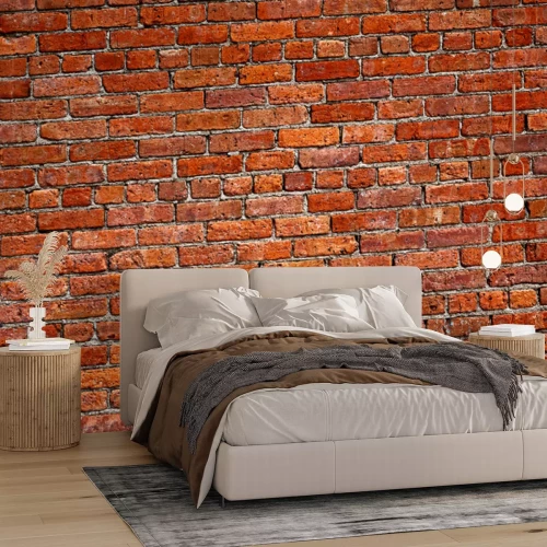 Papier peint  Le vieux mur de brique rouge