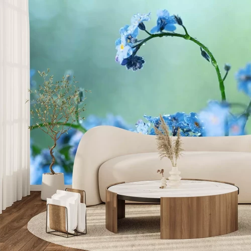 Papier peint  Petites fleurs bleues des champs