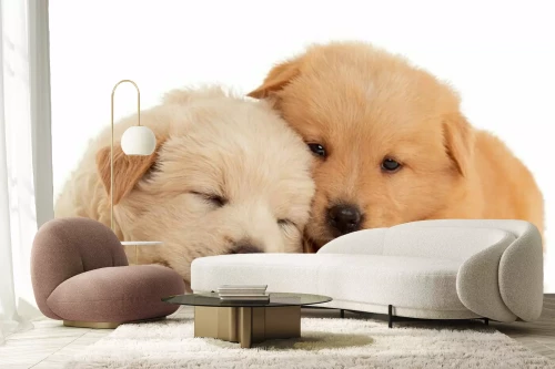 Visualisation du produit