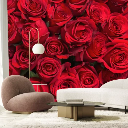 Papier peint  Bouquet de roses rouges
