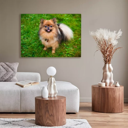 Visualisation du produit