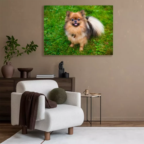 Visualisation du produit