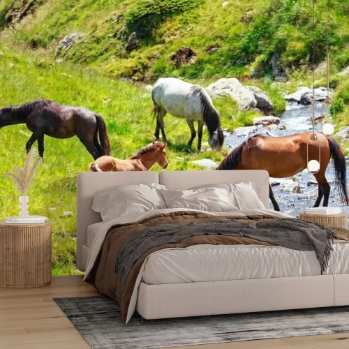 Papier peint  Chevaux buvant de l'eau