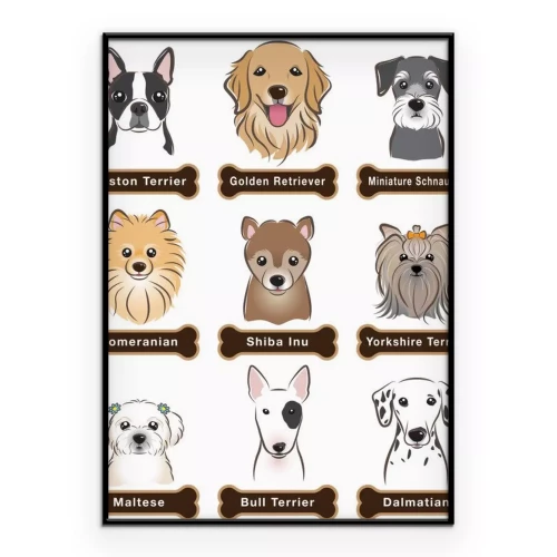 Visualisation du produit