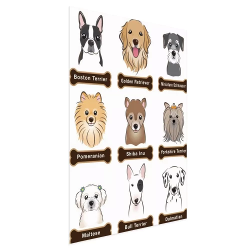 Visualisation du produit