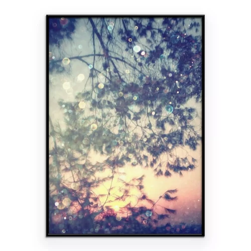 Poster  Les branches des arbres créent des reflets à la surface de l'eau