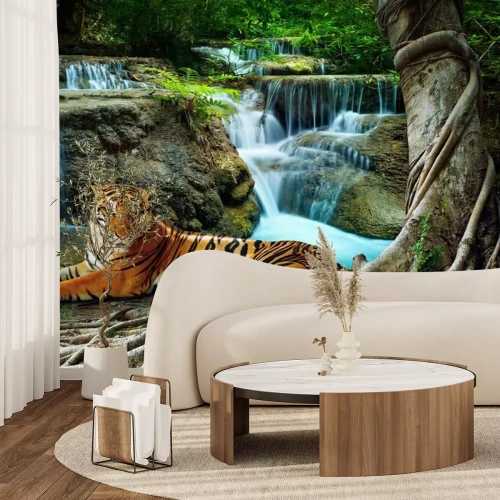 Papier peint  Tigre à la chute d'eau