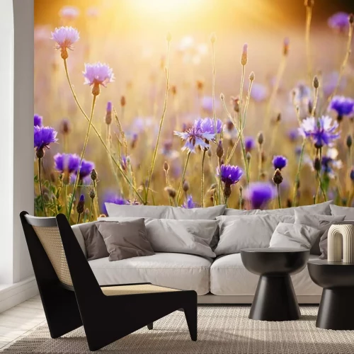 Papier peint  Bleuets dans une prairie