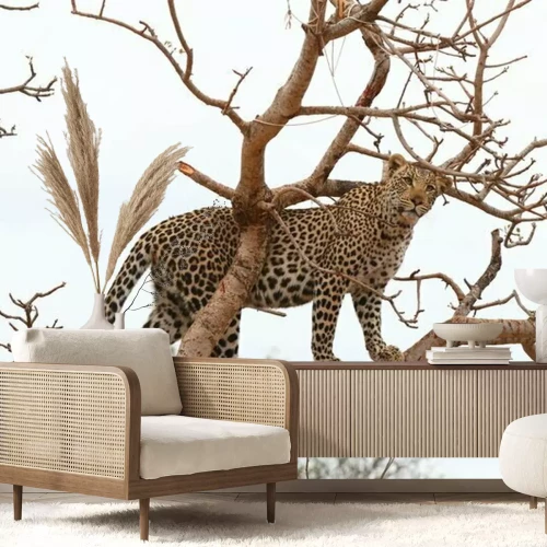 Papier peint  Panthère debout sur une branche d'arbre
