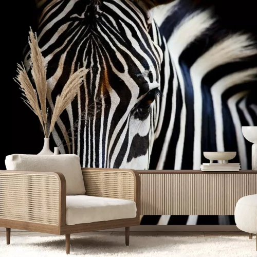 Papier peint  Oeil de zèbre sur un fond foncé