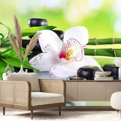 Papier peint  3D orchidée et branches de bambou