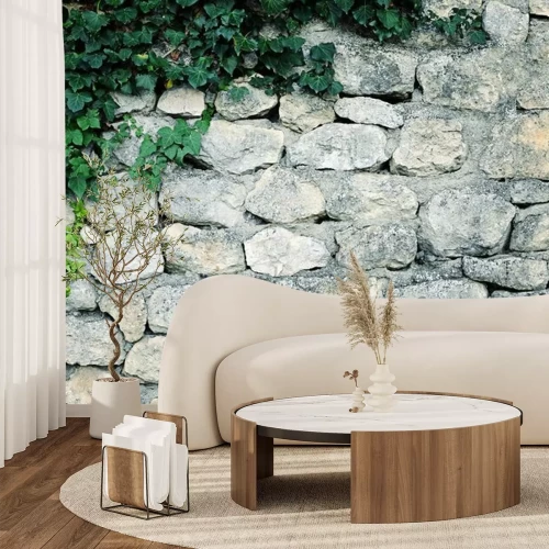 Papier peint  Mur recouvert de lierre