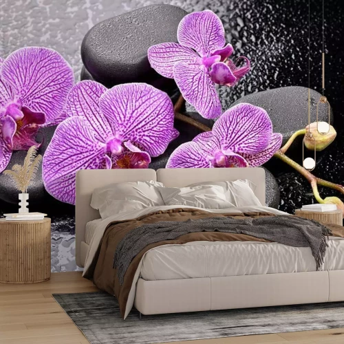 Papier peint  La bazaltowych de Storczyki na