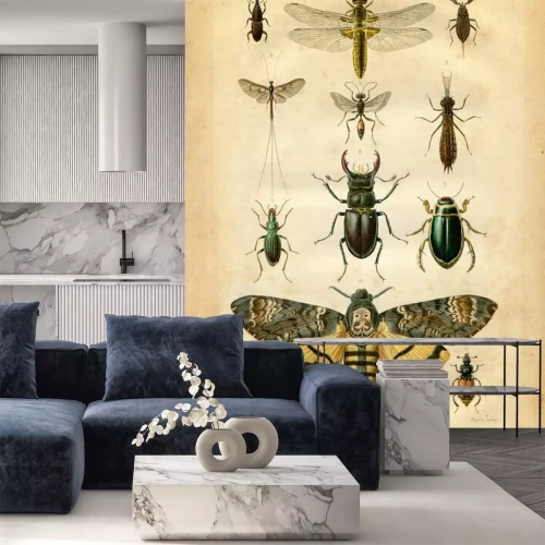 Papier peint  Illustration rétro avec des insectes