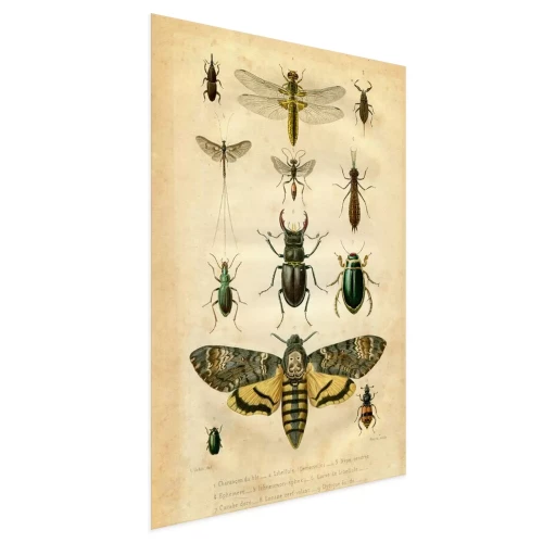 Visualisation du produit