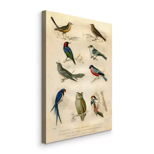 Visualisation du produit