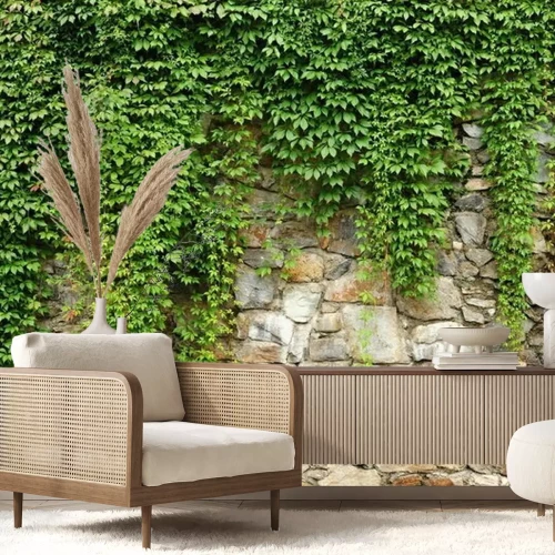 Papier peint  Lierre vert