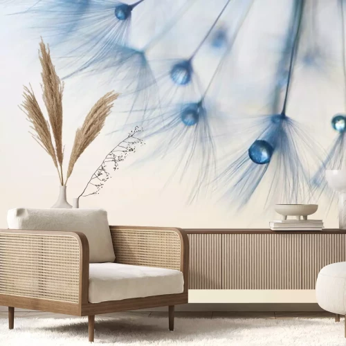 Papier peint  Graines de pissenlit et gouttes bleues