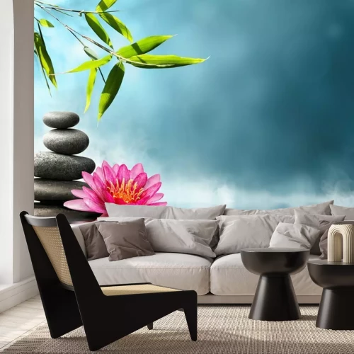 Papier peint  Nature avec pierres et nénuphar