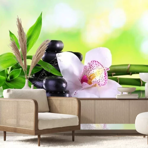 Papier peint  Composition orchidée, pierres et bambou