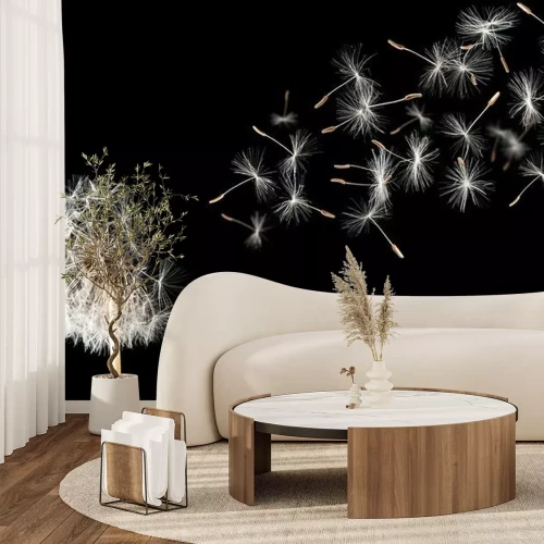 Papier peint  Pissenlit sur fond noir.