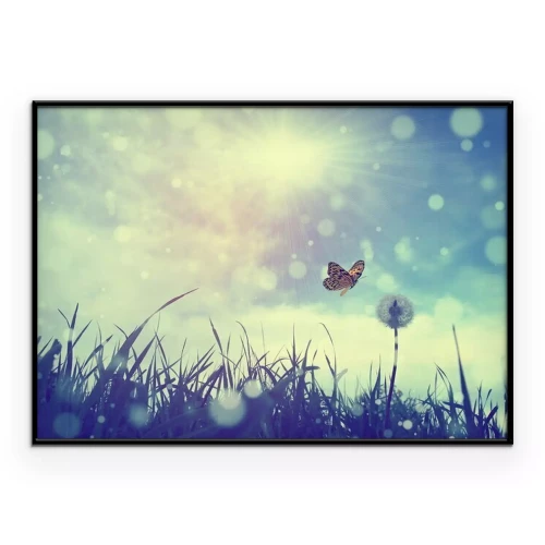 Poster  Papillon et le pissenlit