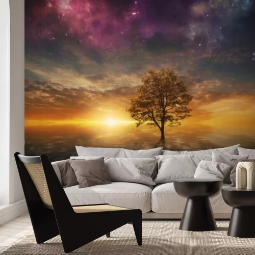 Papier peint  Arbre et coucher de soleil