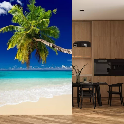 Papier peint  Palmier au-dessus de la plage et de la mer tropicale